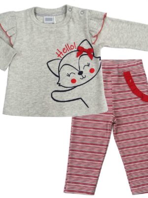 Conjunto Bebê Raposa